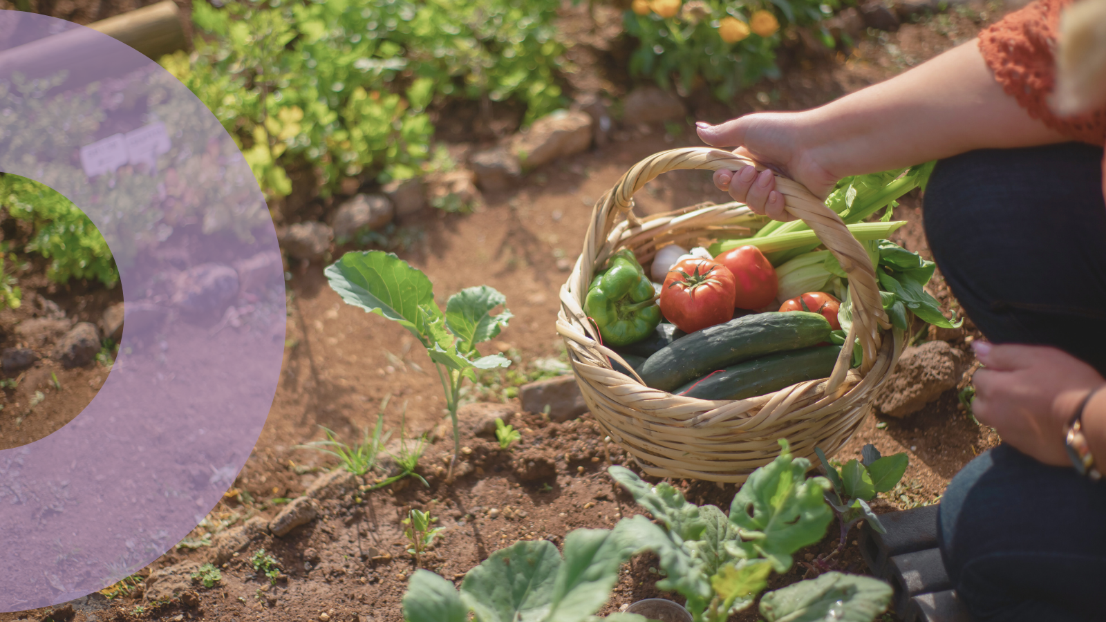 Hot conversations: Learnings From Our 'Hot Food' Workshop