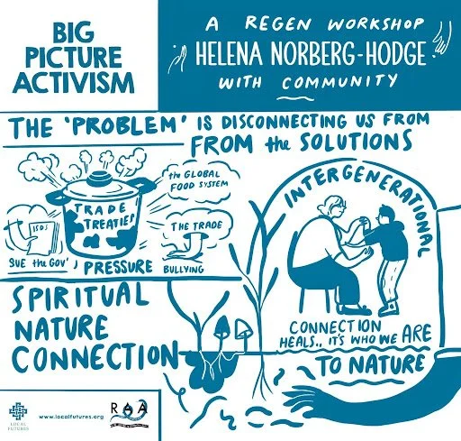 Illustrator: Josephine Ford (Studio RAA)