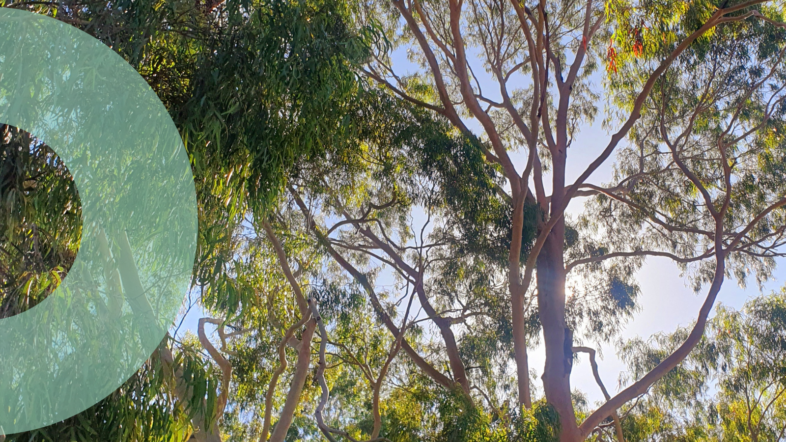 What exactly is climate change adaptation?