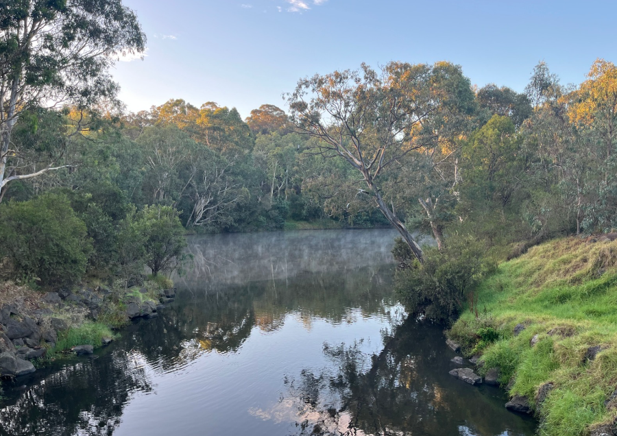 Systemic Risks on the River