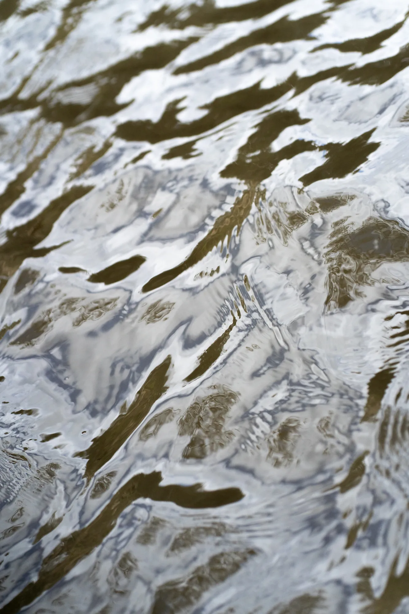 Riverbank