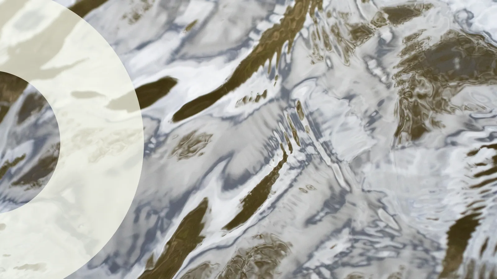 Why Measure a Living River?
