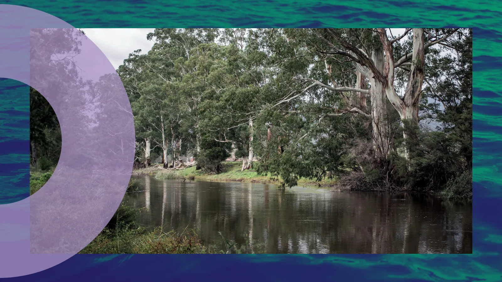 How can stories bring us together in service of the Birrarung?