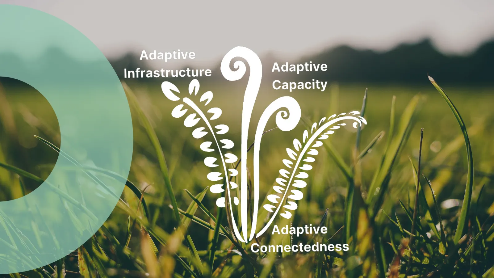 Adapting means tapping into our inner nature