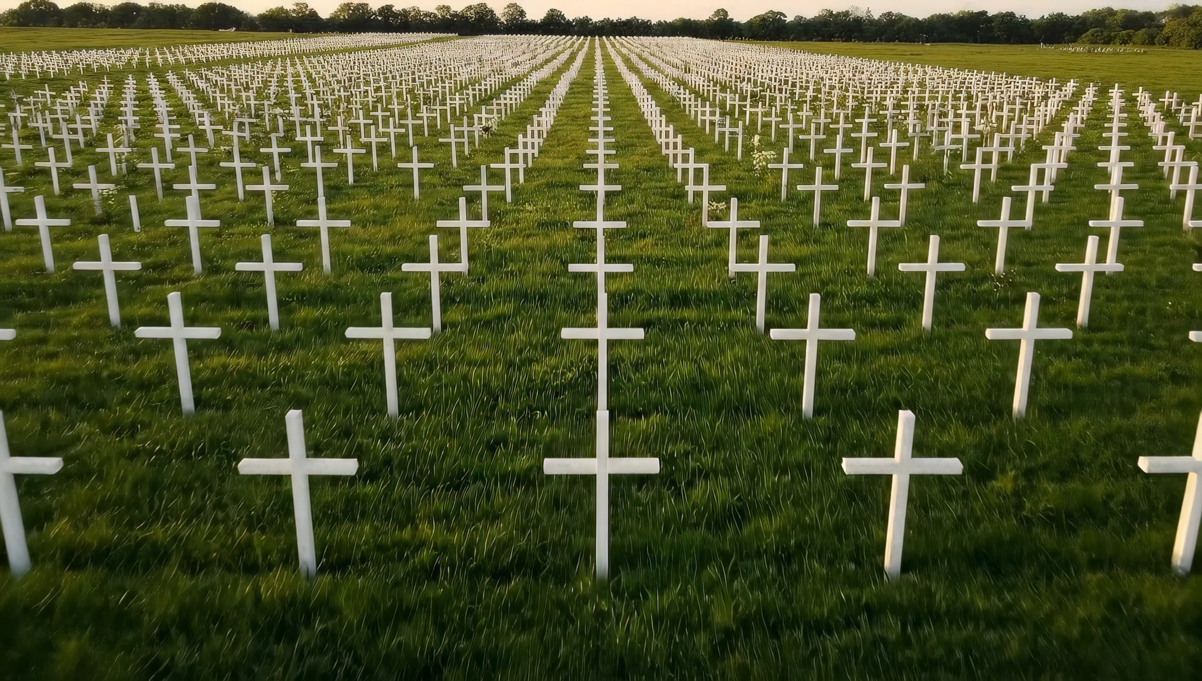 Rows of white crosses on a green field extending toward a tree line at sunset.