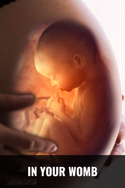 In Your Womb