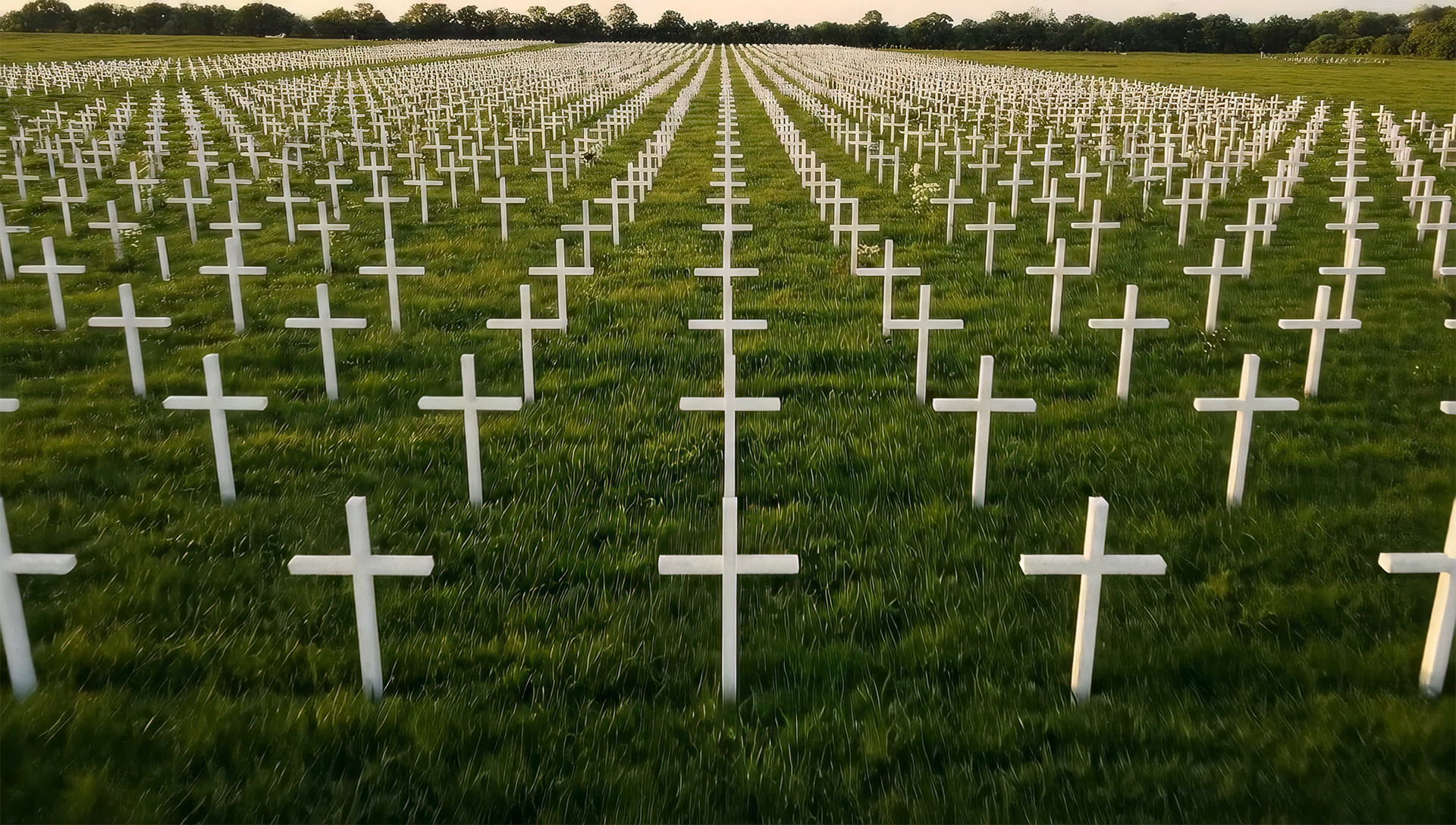 Rows of white crosses on a green field extending toward a tree line at sunset.