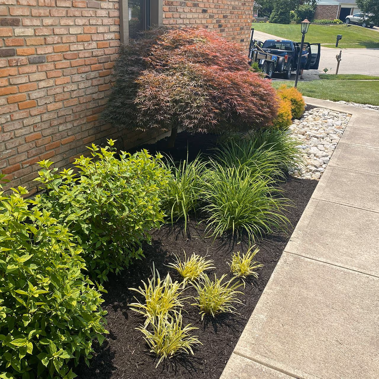 Landscape installation with fresh mulch by PerfaCut Lawn and Landscape