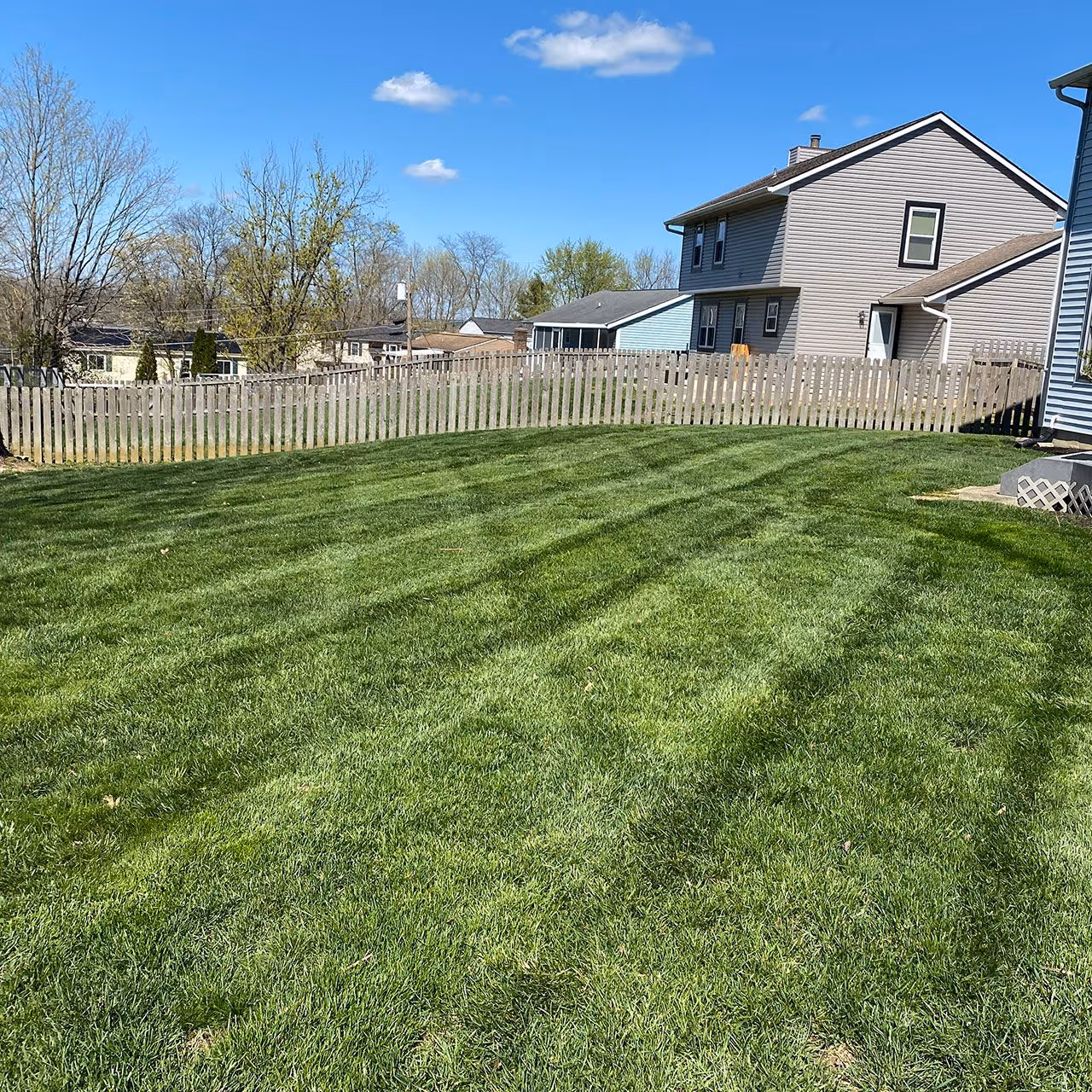 Clean striped lawn after professional mowing