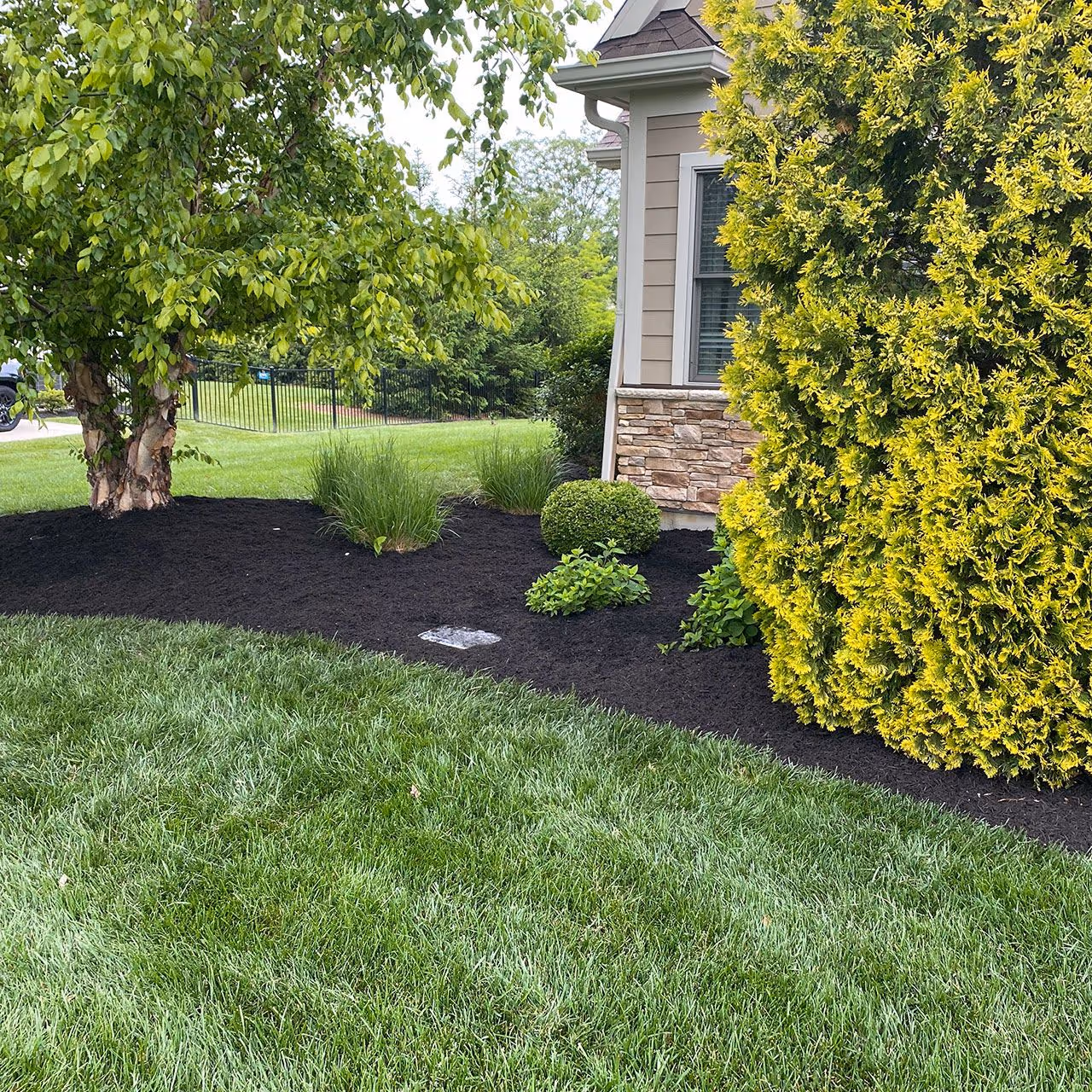 Weekly lawn mowing and edging service near me