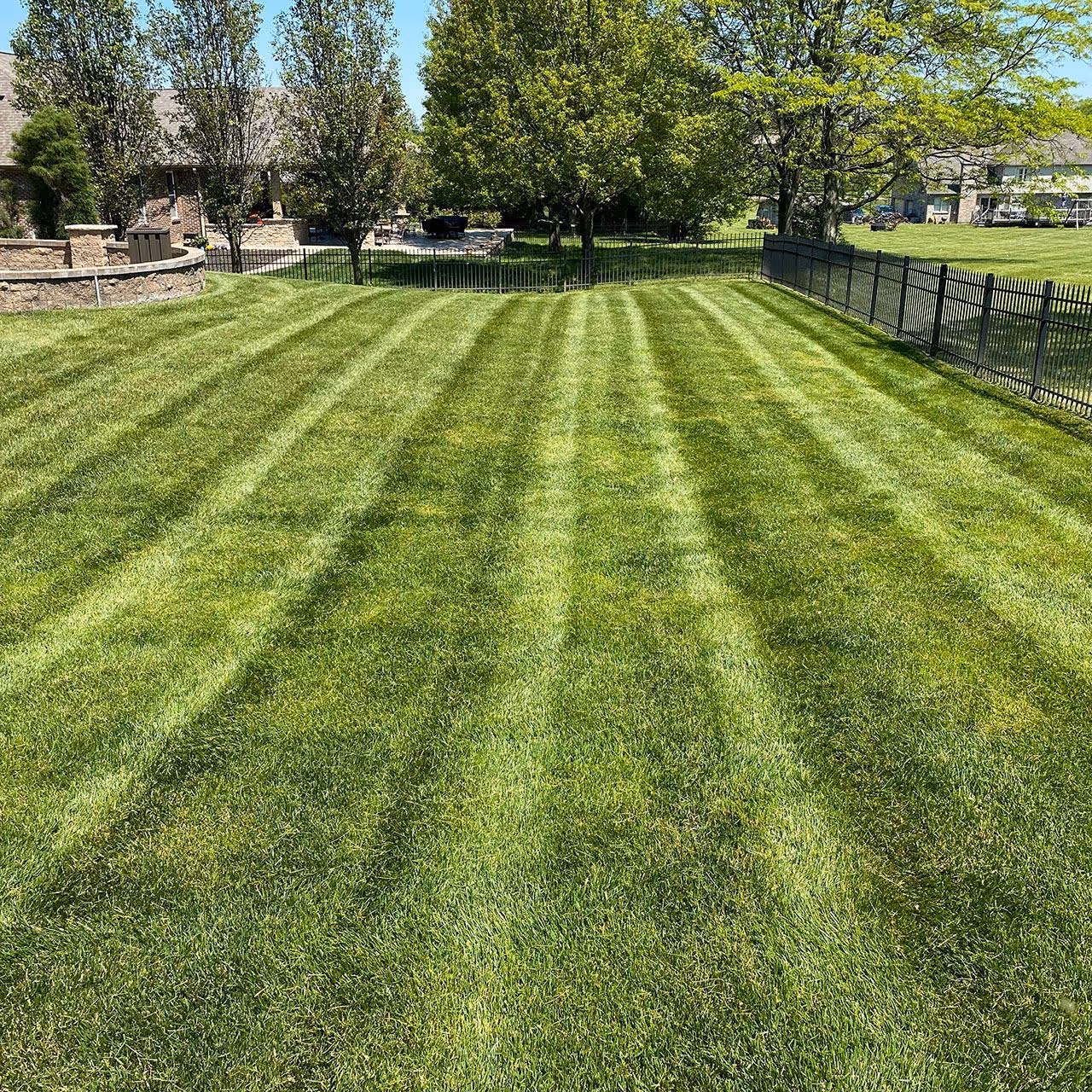 Professional lawn mowing service by PerfaCut Lawn and Landscape