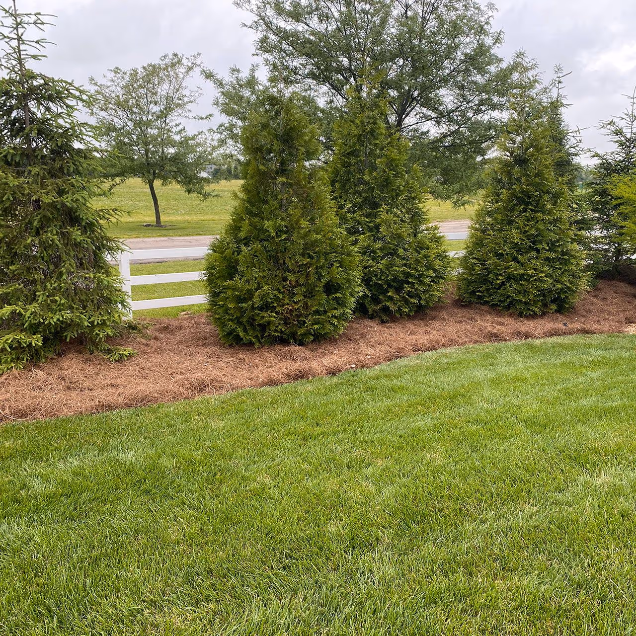 Landscape bed maintenance and trimming