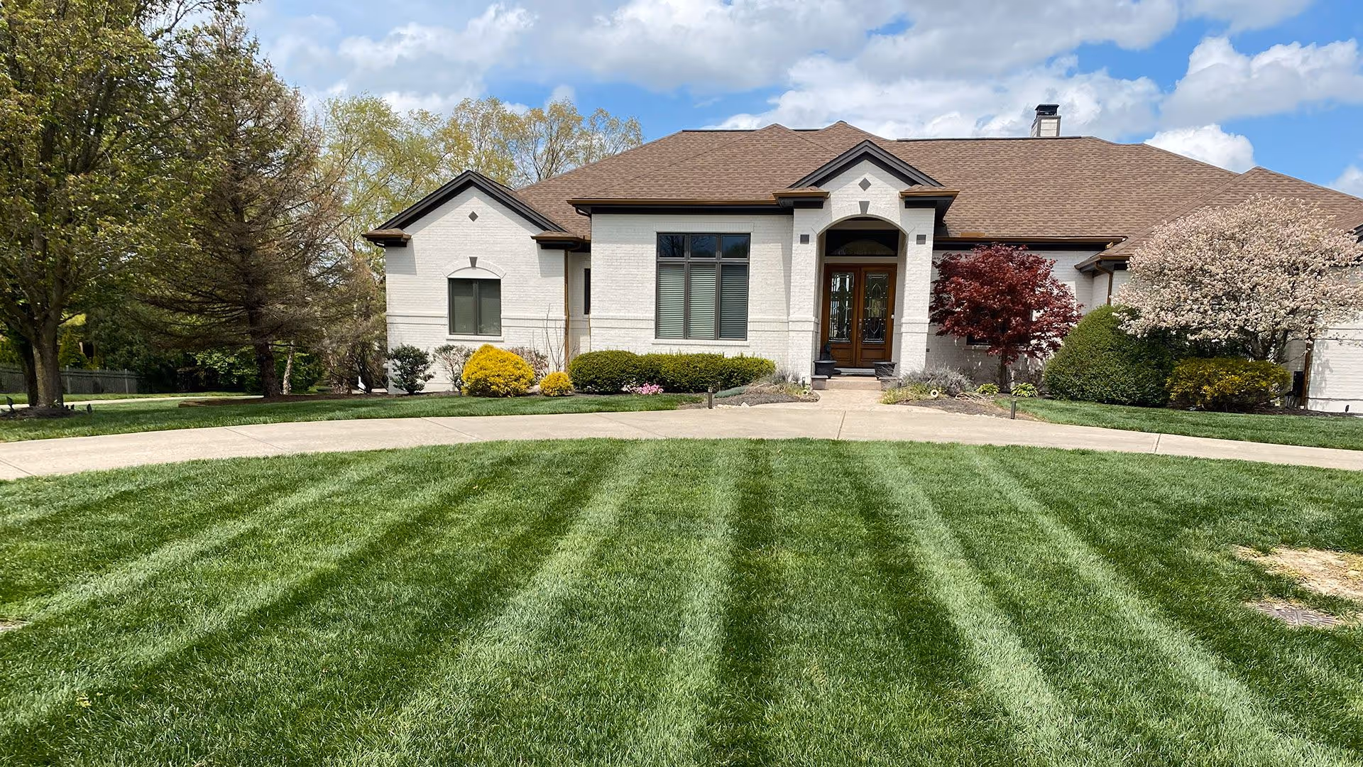 Professional lawn care and landscape maintenance near me