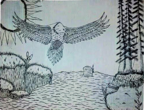 Pen drawing of an eagle flying over water, with trees, plants, and sun in the background.