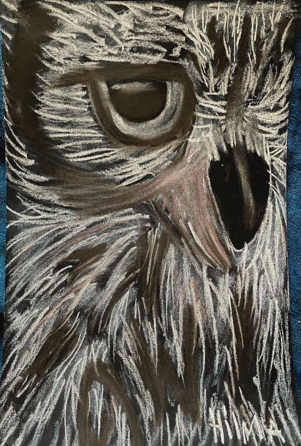 Close-up drawing of an owl's face focusing on a large eye and detailed feathers.