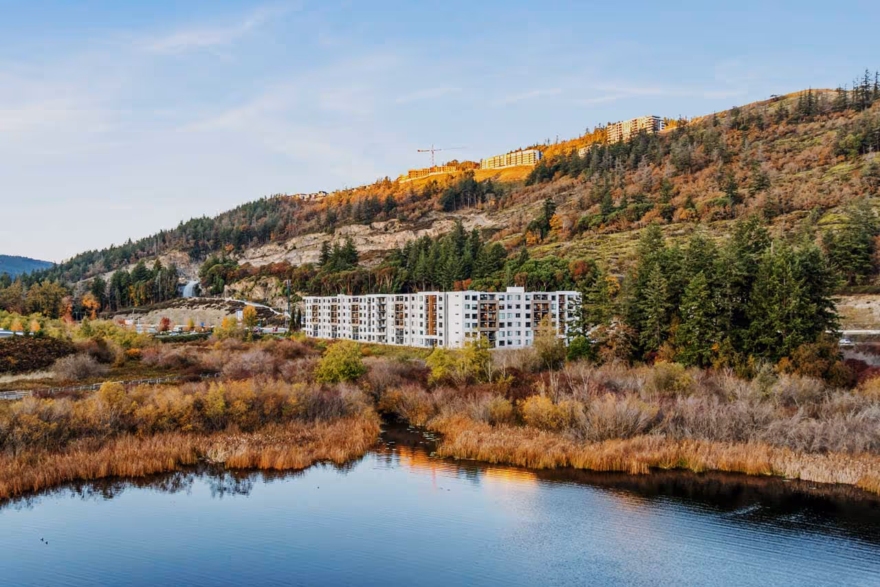 Trailside by The Lake