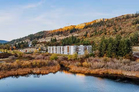 Trailside by The Lake
