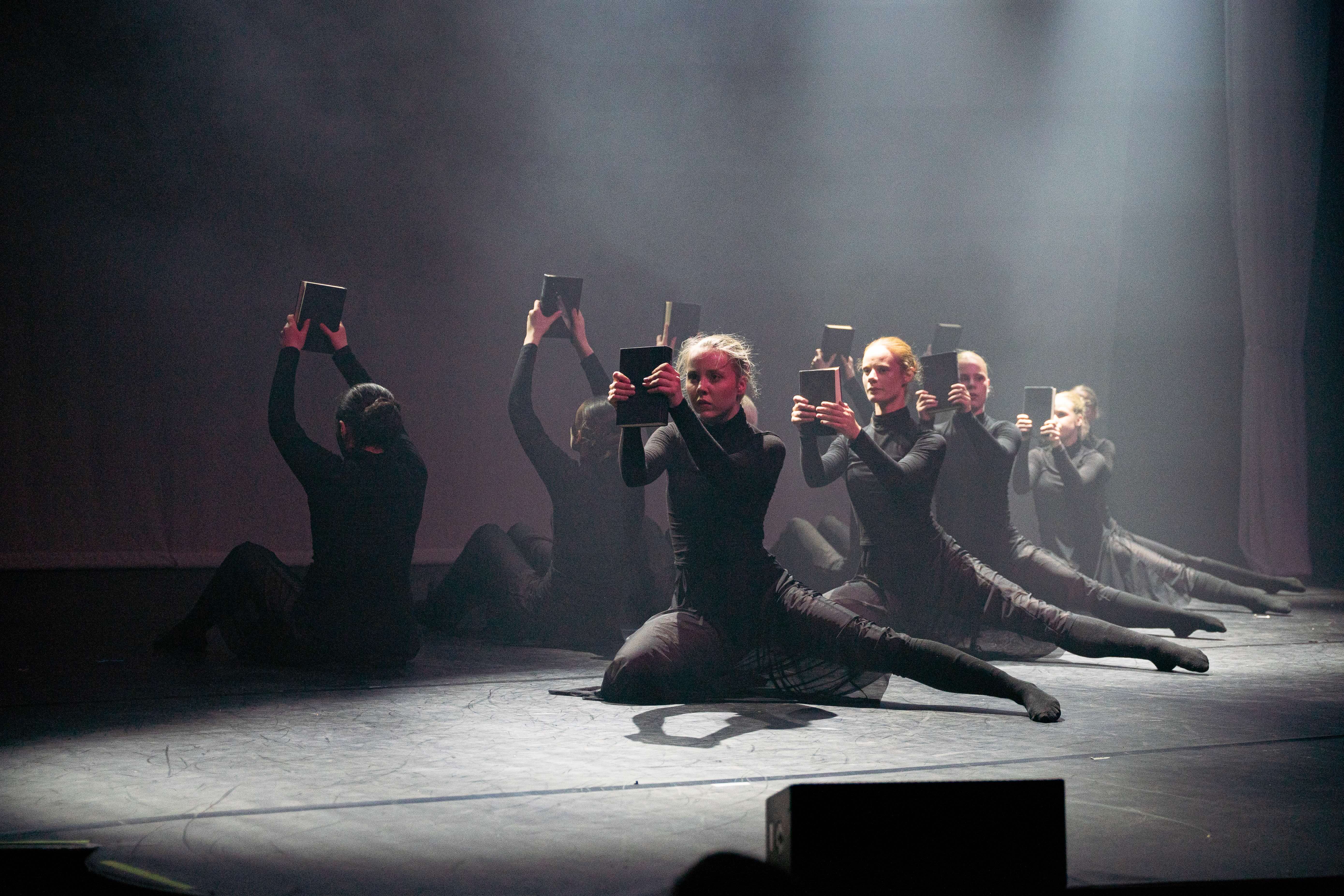 image of a live performance at the park (for an amusement park)