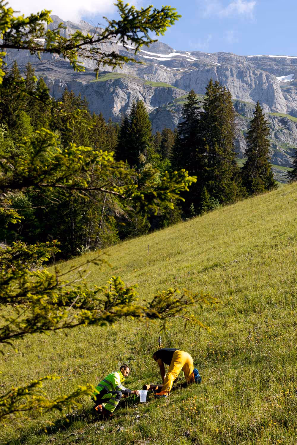 photo de reporte à derborence en valais dans les montagnes 