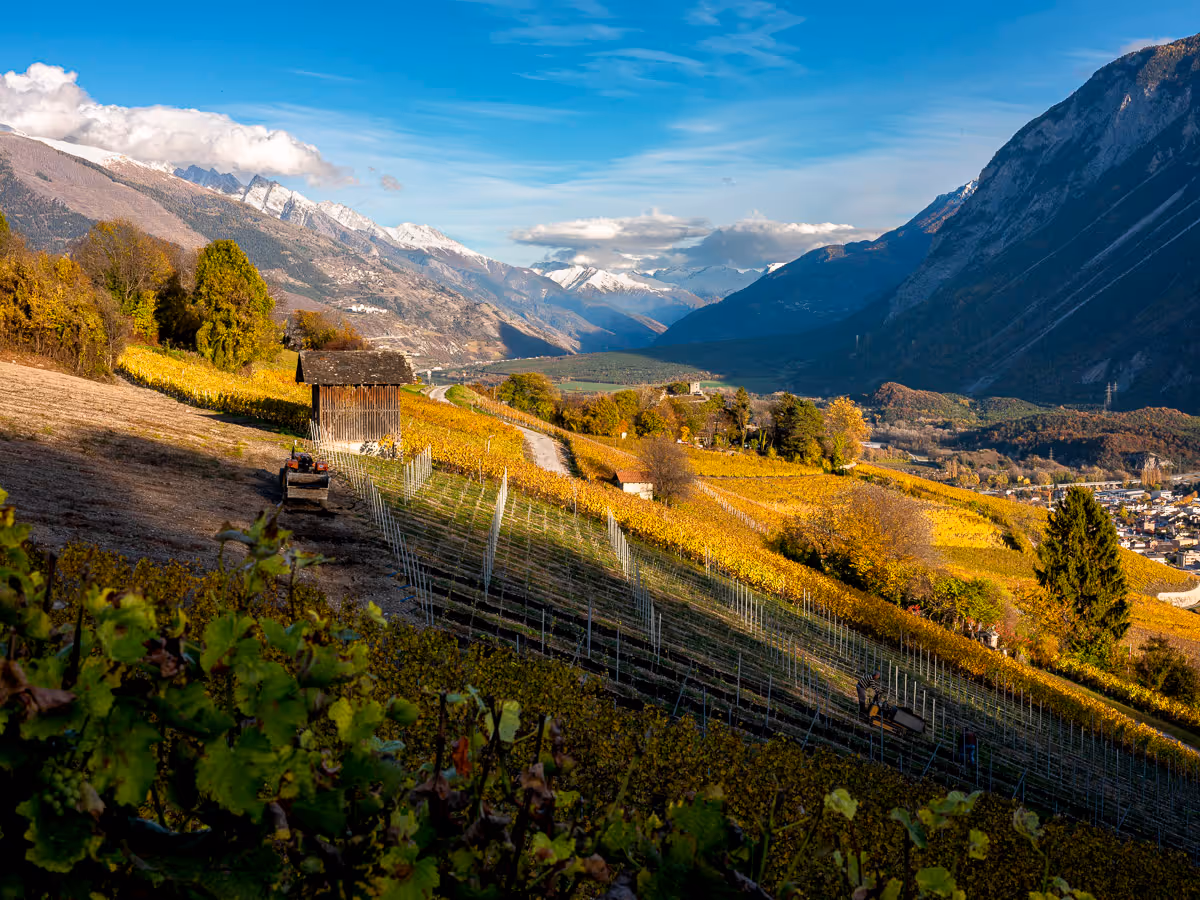 © Samuel Devantéry | Photo Paysage