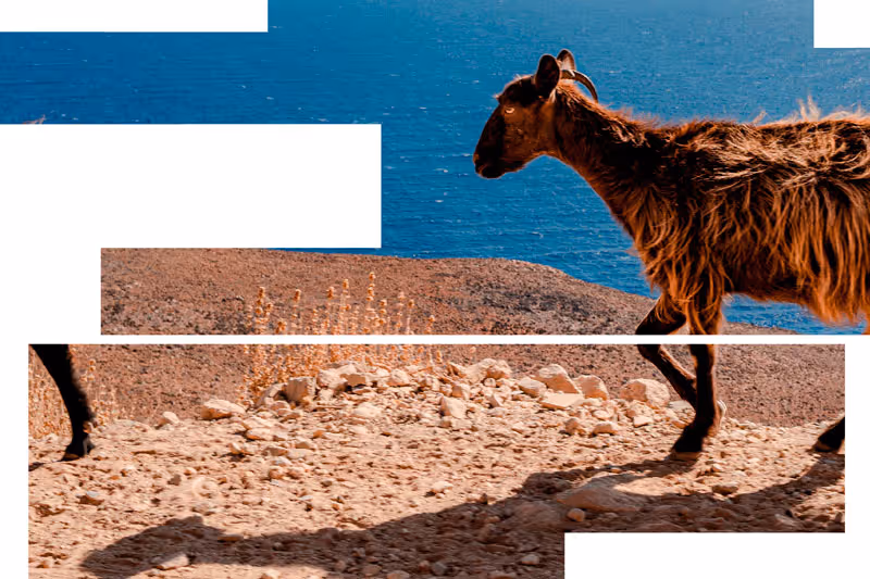 Exposition Photographique A Sierre Contemplation