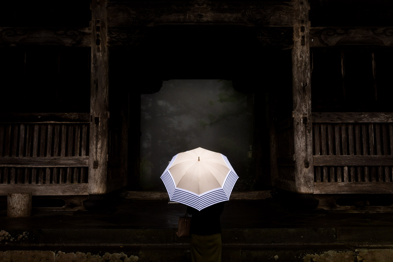 Photographie artistique d'une japonaise contemplant une porte de temple dérobée au milieu de la foret et de la brume dans la préfecture de Guma au Japon