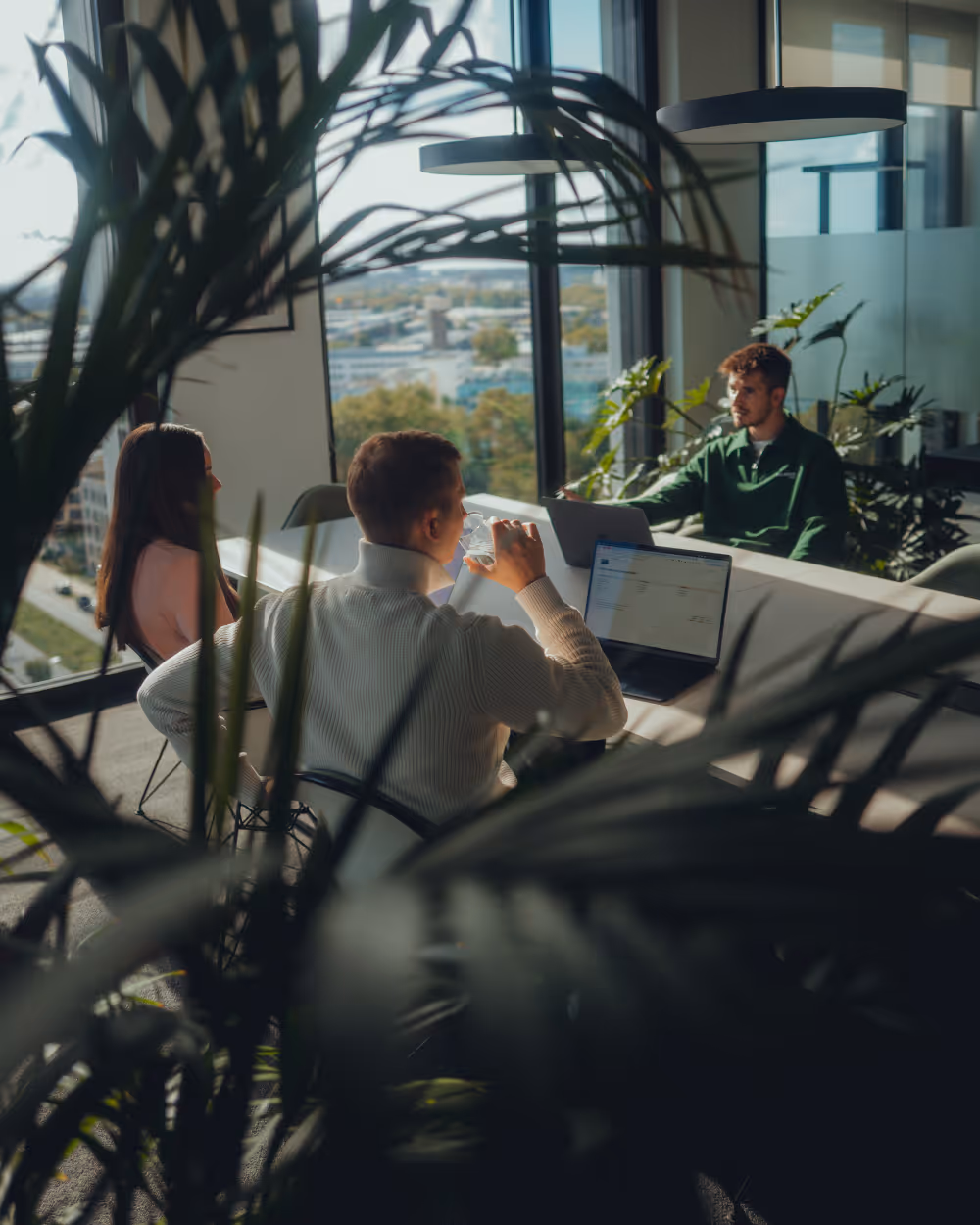 Three people having a meeting in a modern office with large windows and indoor plants, one person drinking water, two laptops on the table.