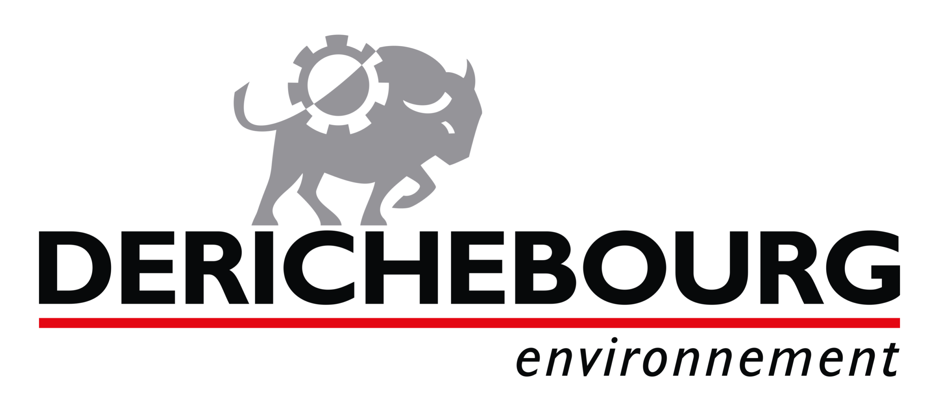 Derichebourg environnement