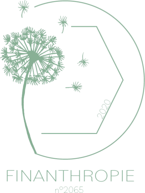 Finanthropie