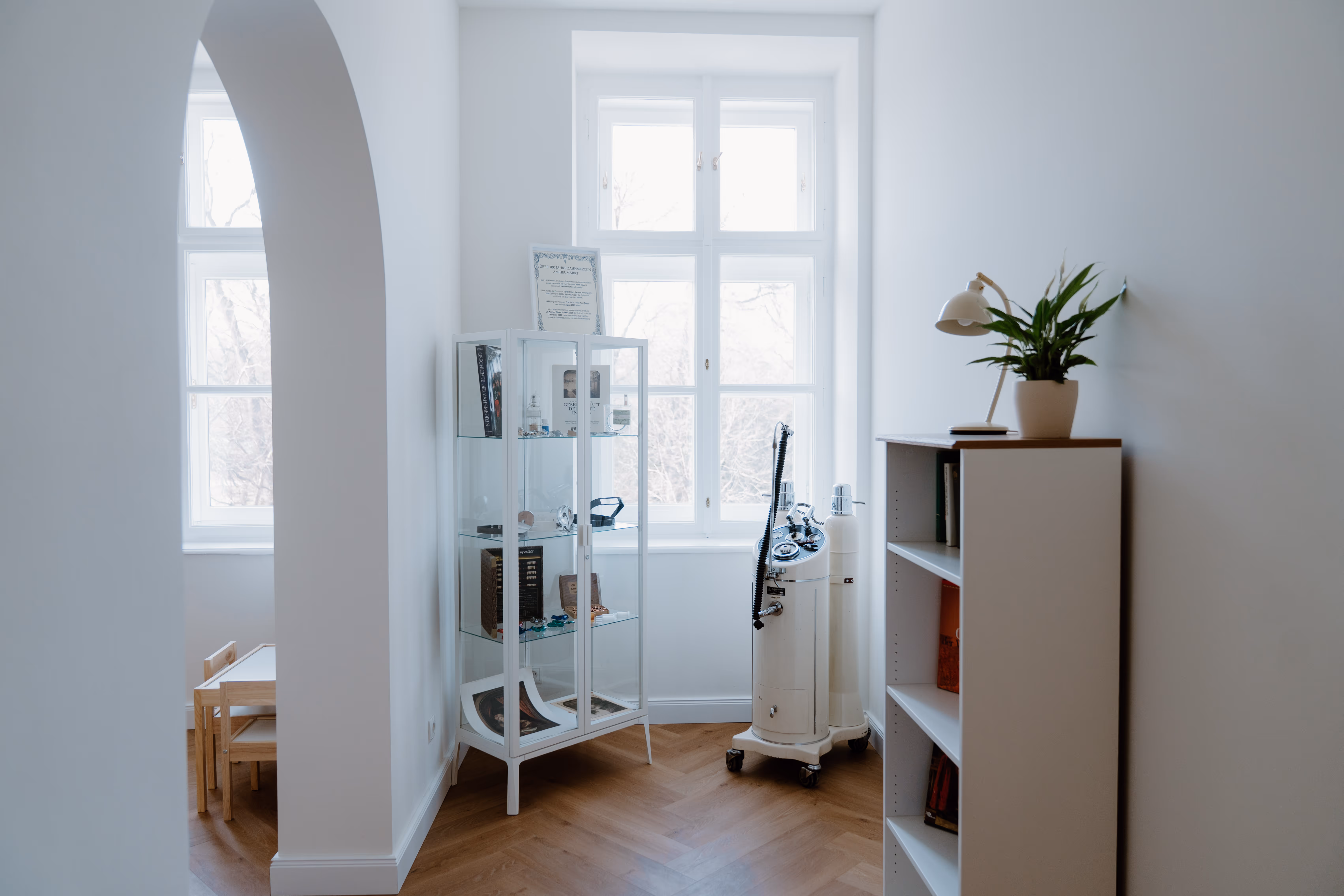 Helle Ecke eines Raums mit einem Glasvitrinenschrank, medizinischem Gerät auf Rollen, Bücherregal mit einer Pflanze und einem weißen Leselicht vor einem großen Fenster.