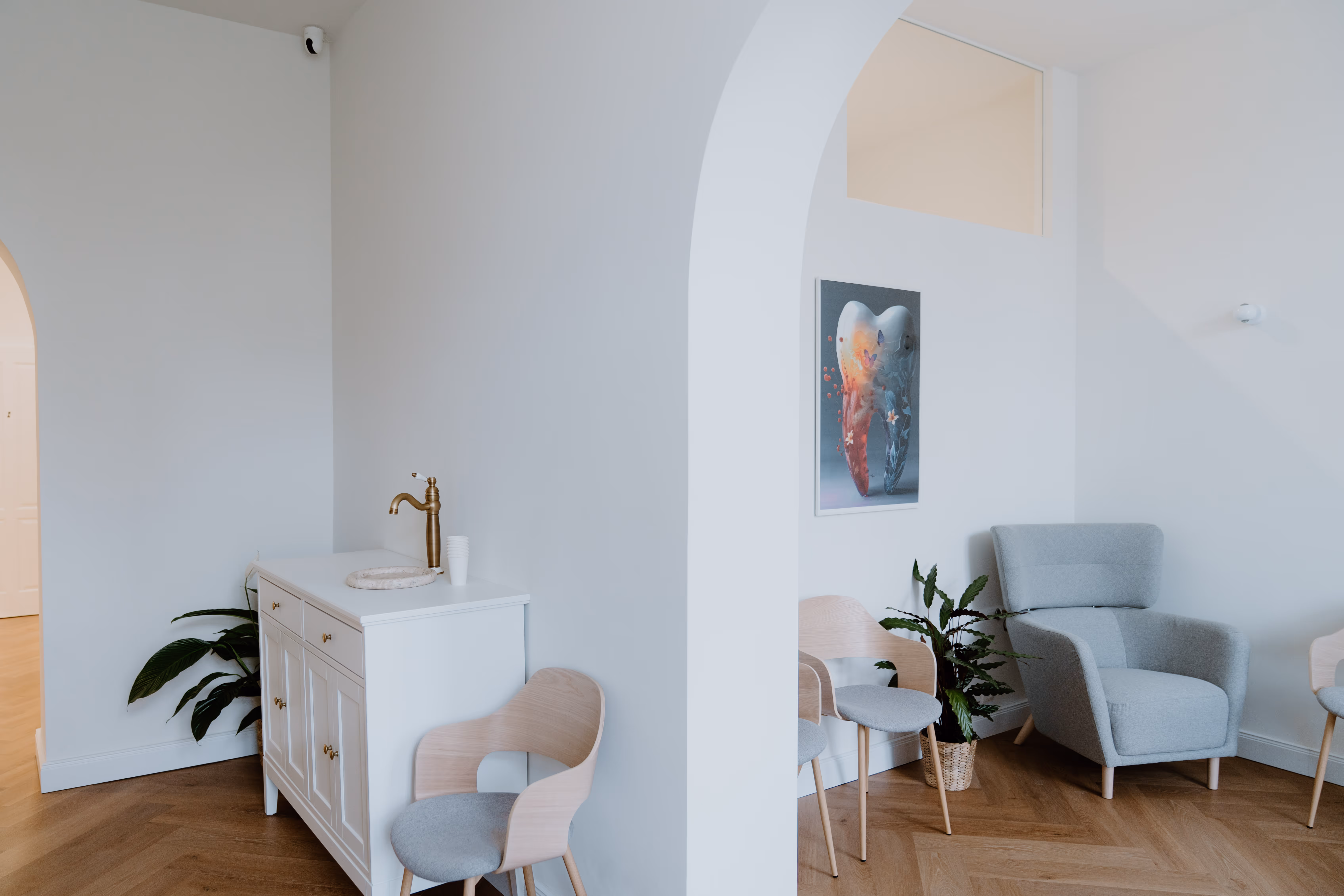 Moderner Wartebereich mit hellen Holzboden, weißen Wänden, Sitzstühlen, einer Pflanze und einem Bild eines Zahns an der Wand.