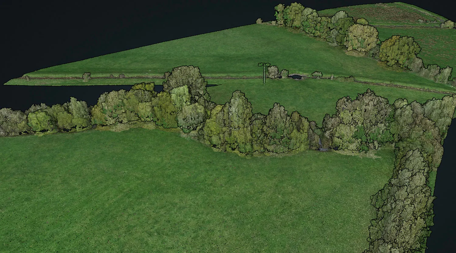 Aerial view of green fields bordered by dense clusters of trees with a narrow dirt path running through the middle.
