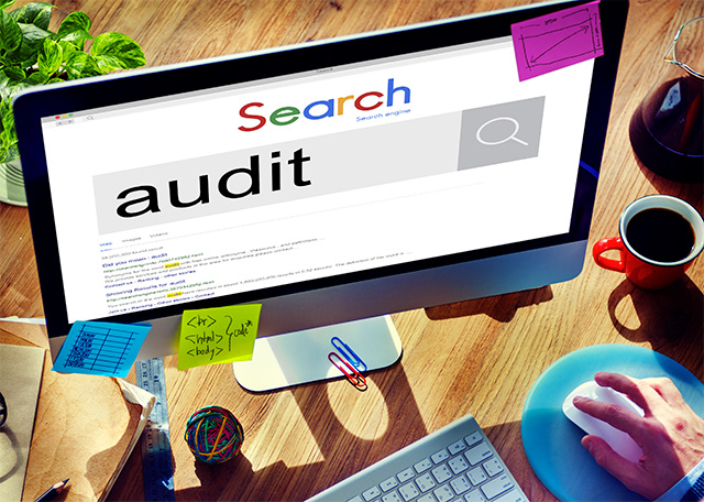 Digishop-article-audit-seo-gratuit