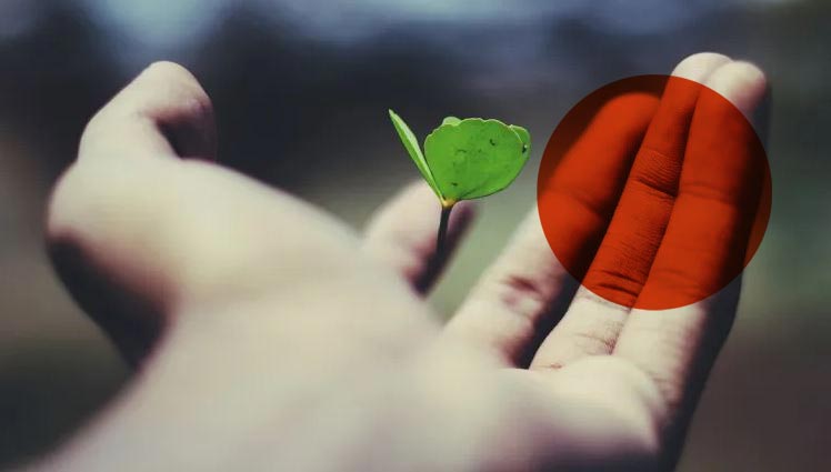 Pierre & Vacances réduit ses émissions de carbone