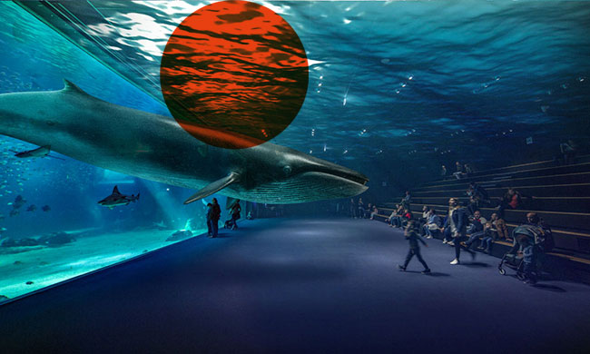 Les innovations pour plus d'immersion