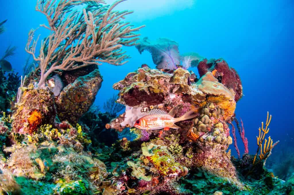 image of a mesmerizing landscape (for a travel agency)