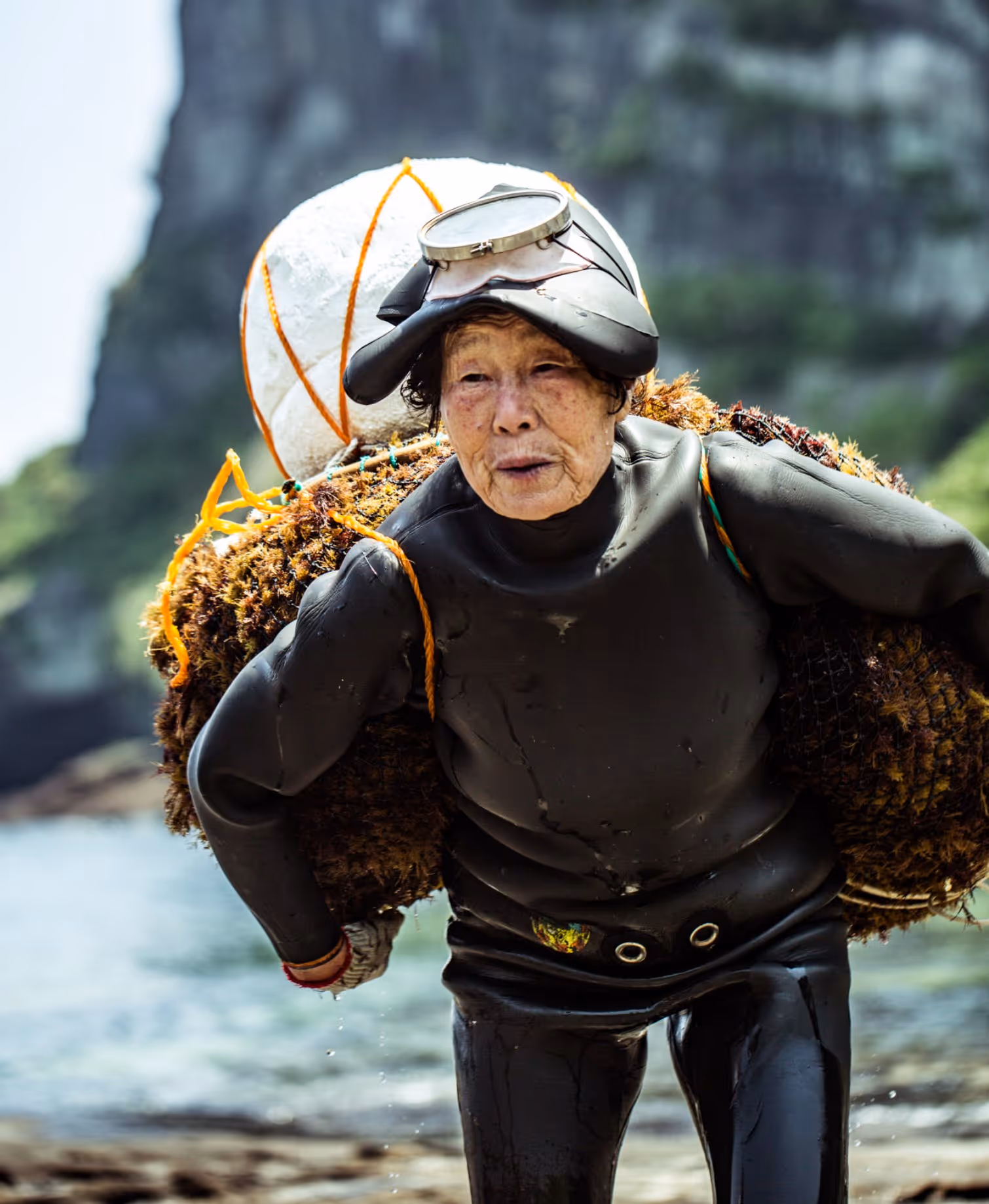 Elderly female diver in a black wetsuit carrying a large bundle of seaweed on her back near the water.