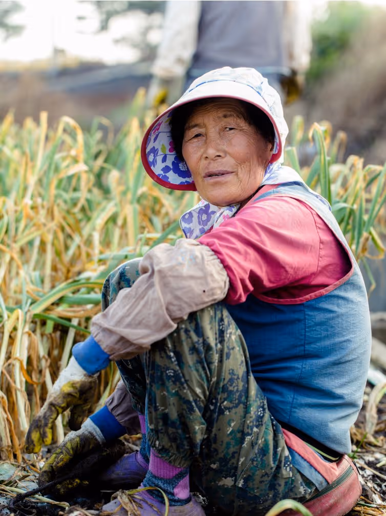 Elderly woman wearing a floral sun hat and work gloves crouching in a field of green and yellow plants during daylight.