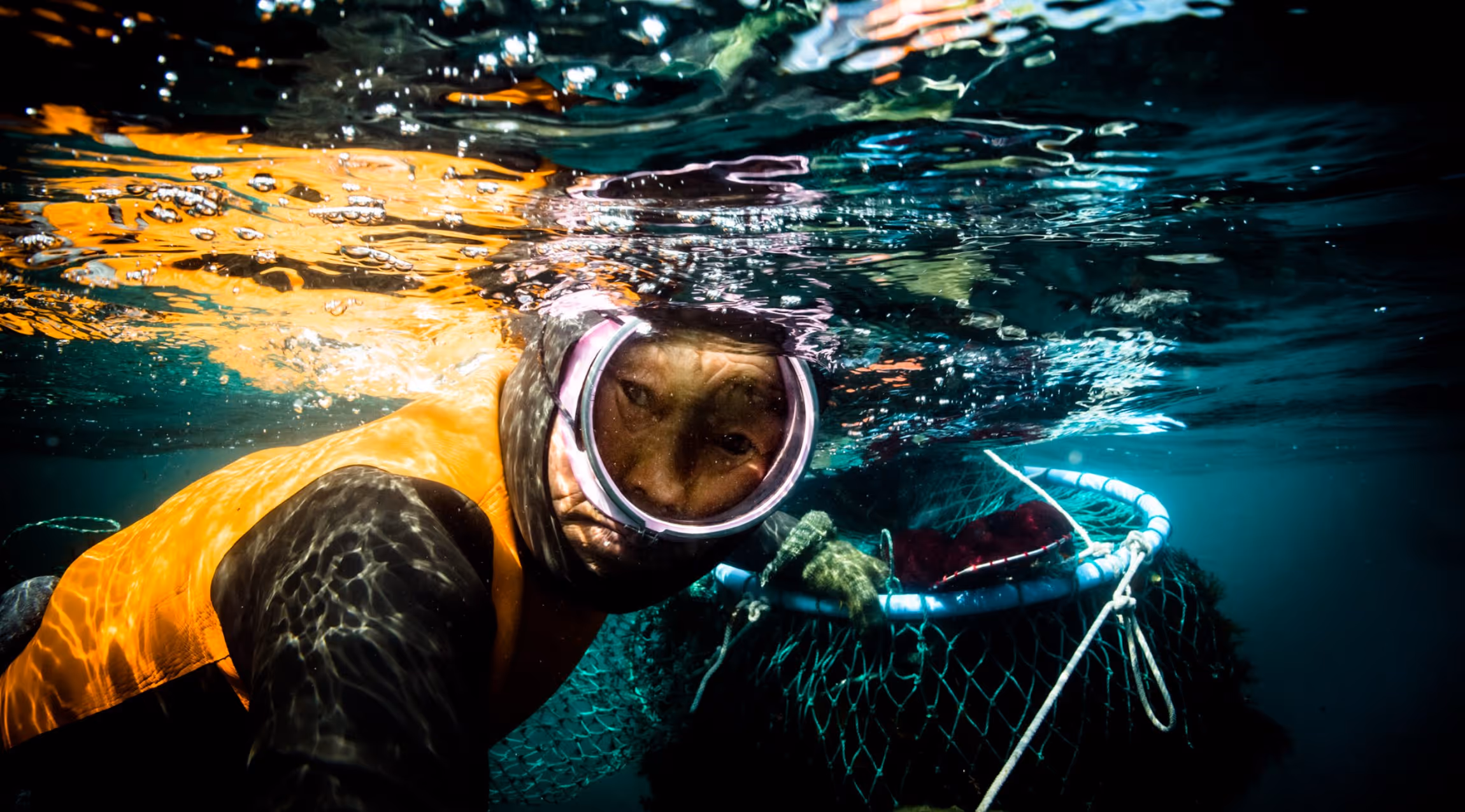 Underwater photo of a person in a wetsuit and orange vest holding a blue net basket.