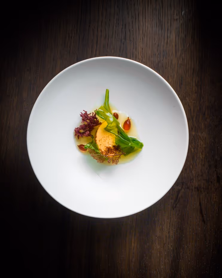 Gourmet dish with a round yellow custard or mousse, garnished with green and purple leafy vegetables and drops of sauce, served on a white plate on a dark wooden table.