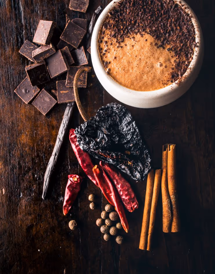 Cup of frothy hot chocolate surrounded by dark chocolate squares, vanilla bean, dried chili peppers, allspice berries, and cinnamon sticks on a wooden surface.