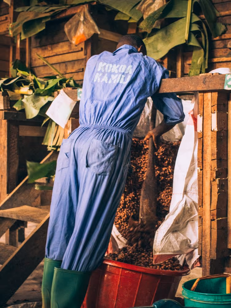 Person in blue coveralls and green boots scooping cocoa beans from a large sack into a red container in a rustic wooden workspace.