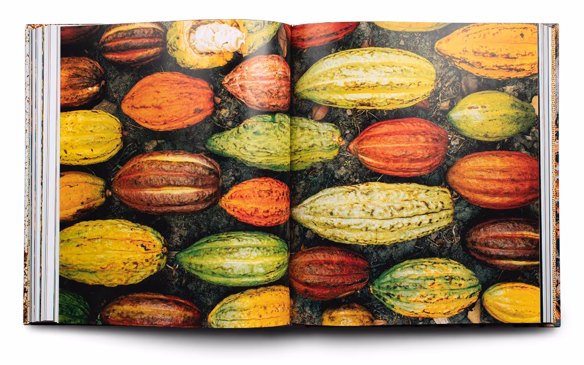 Open book showing a photo spread of colorful cocoa pods in various colors including yellow, green, red, and brown.