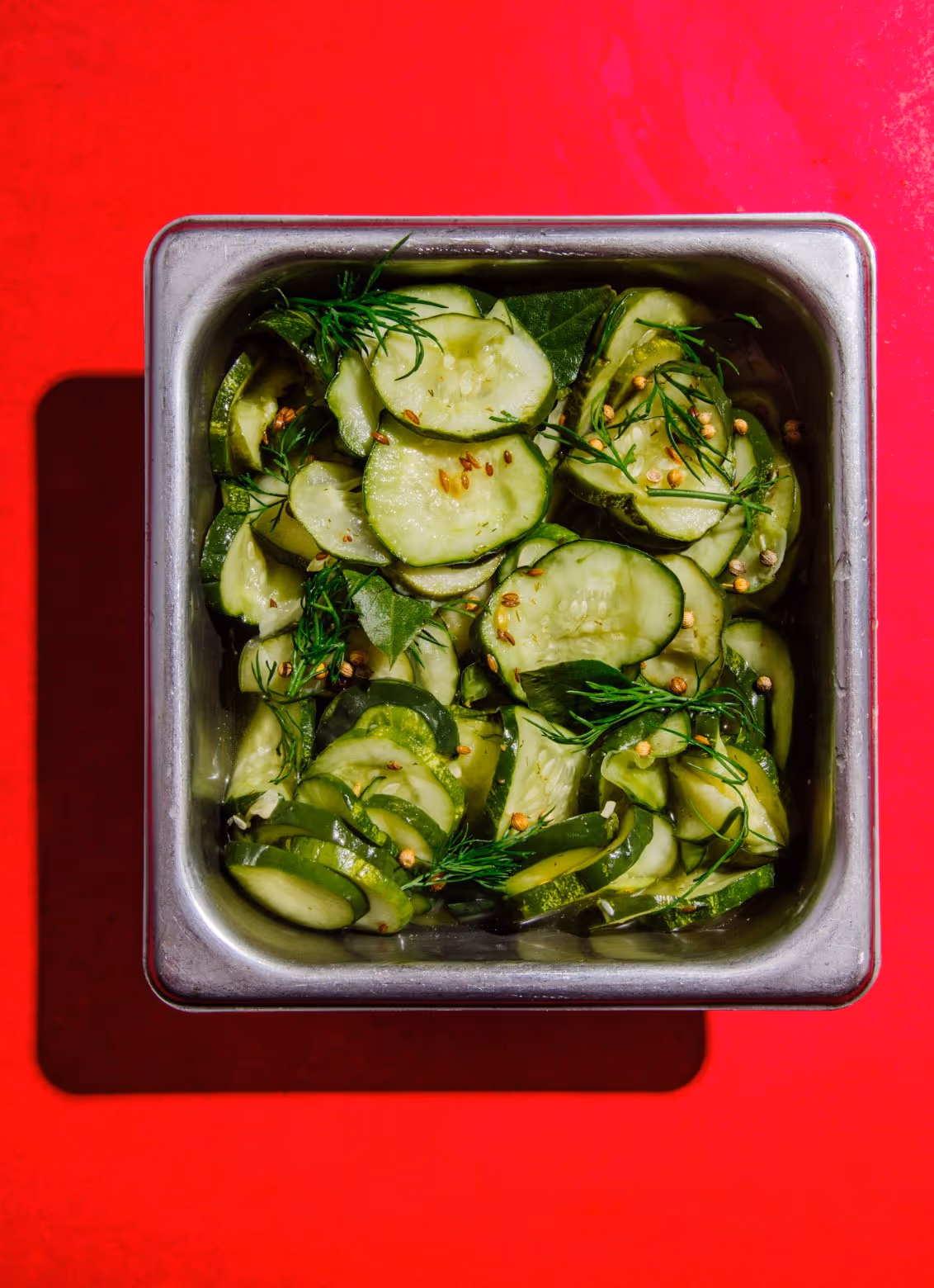 Square metal container with sliced cucumber salad garnished with dill and coriander seeds on a red surface.