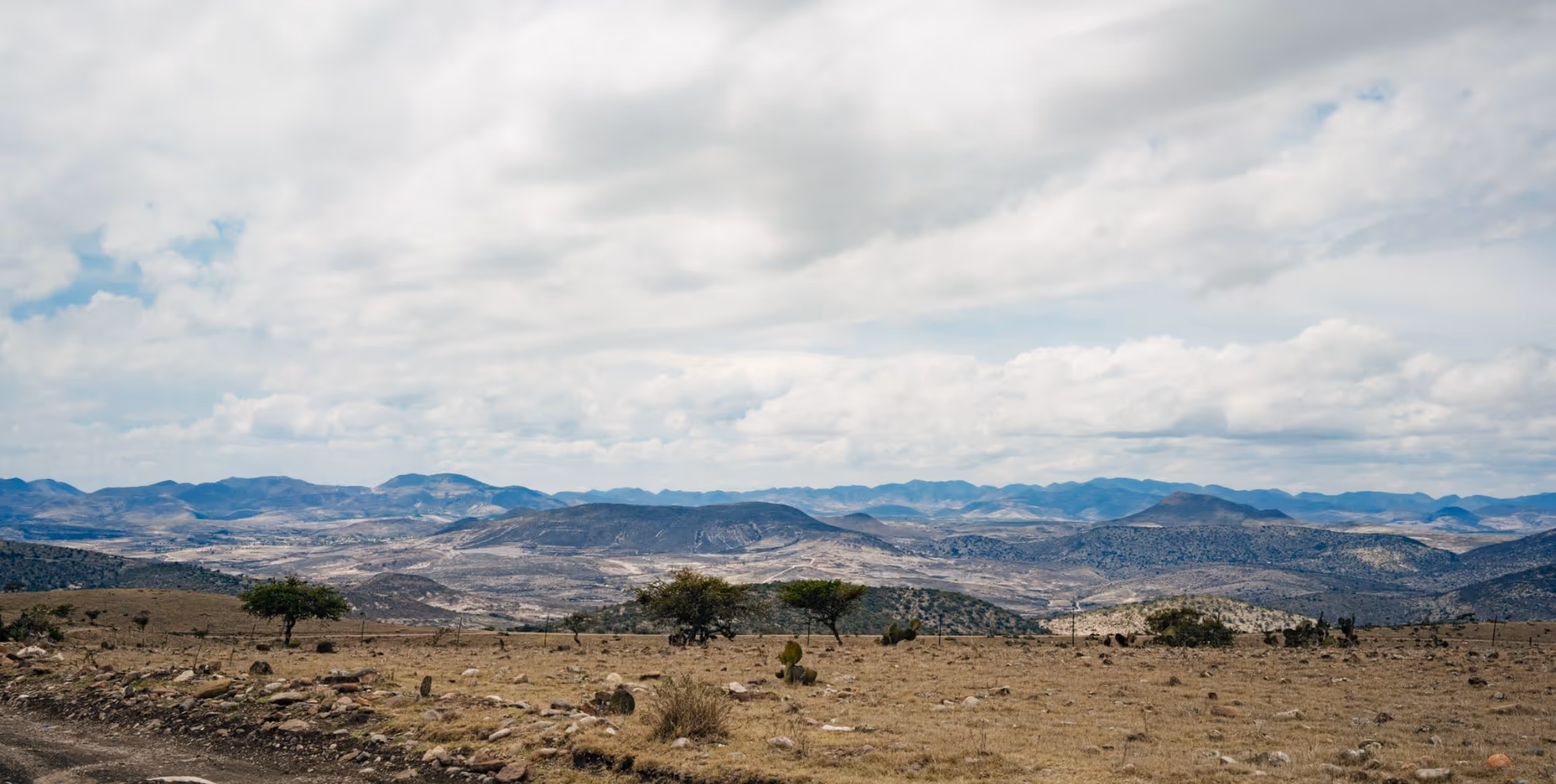 Wide arid landscape with scattered small trees and cacti, rocky ground, and distant mountains under a partly cloudy sky.