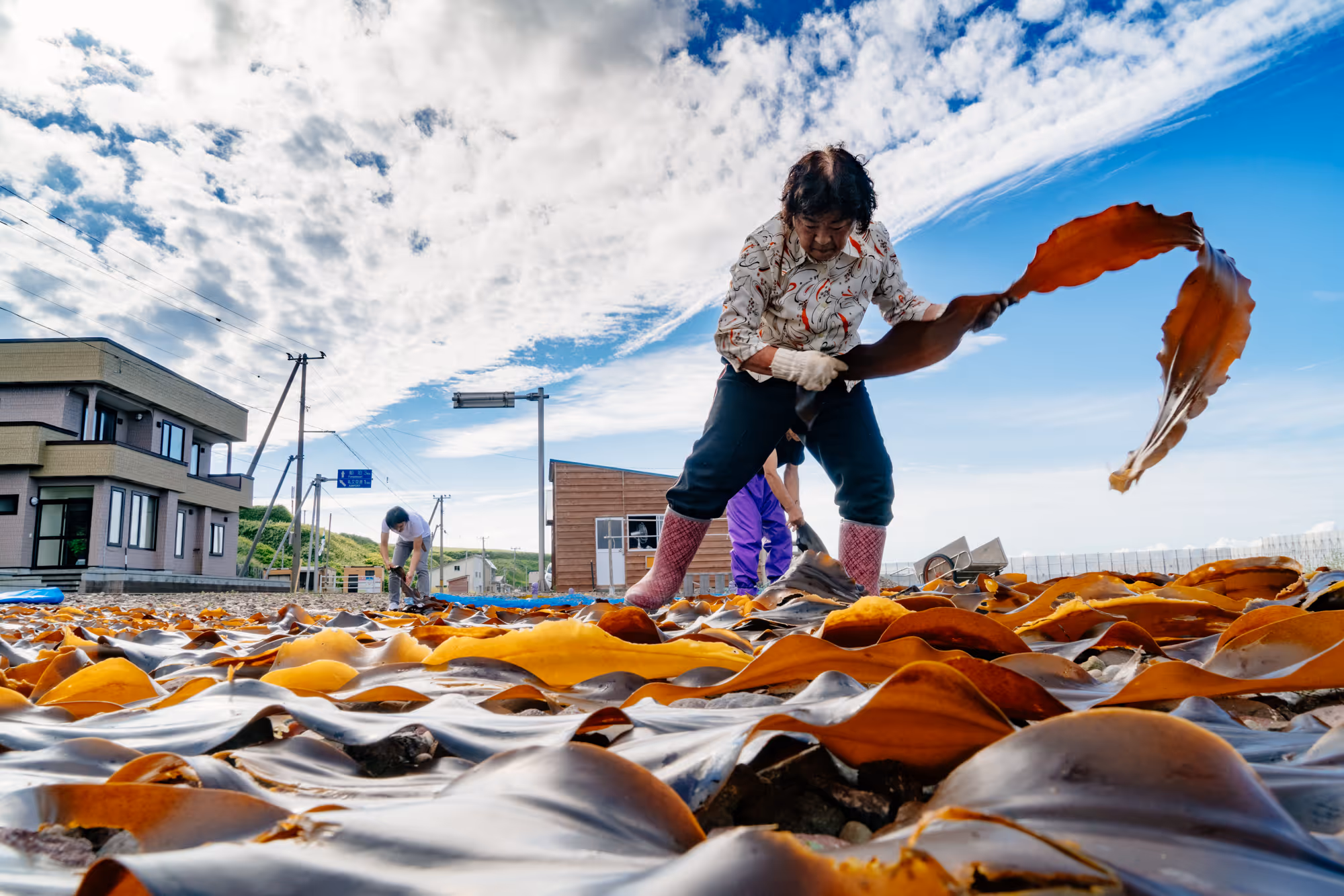 People drying large brown seaweed outdoors under a partly cloudy blue sky.