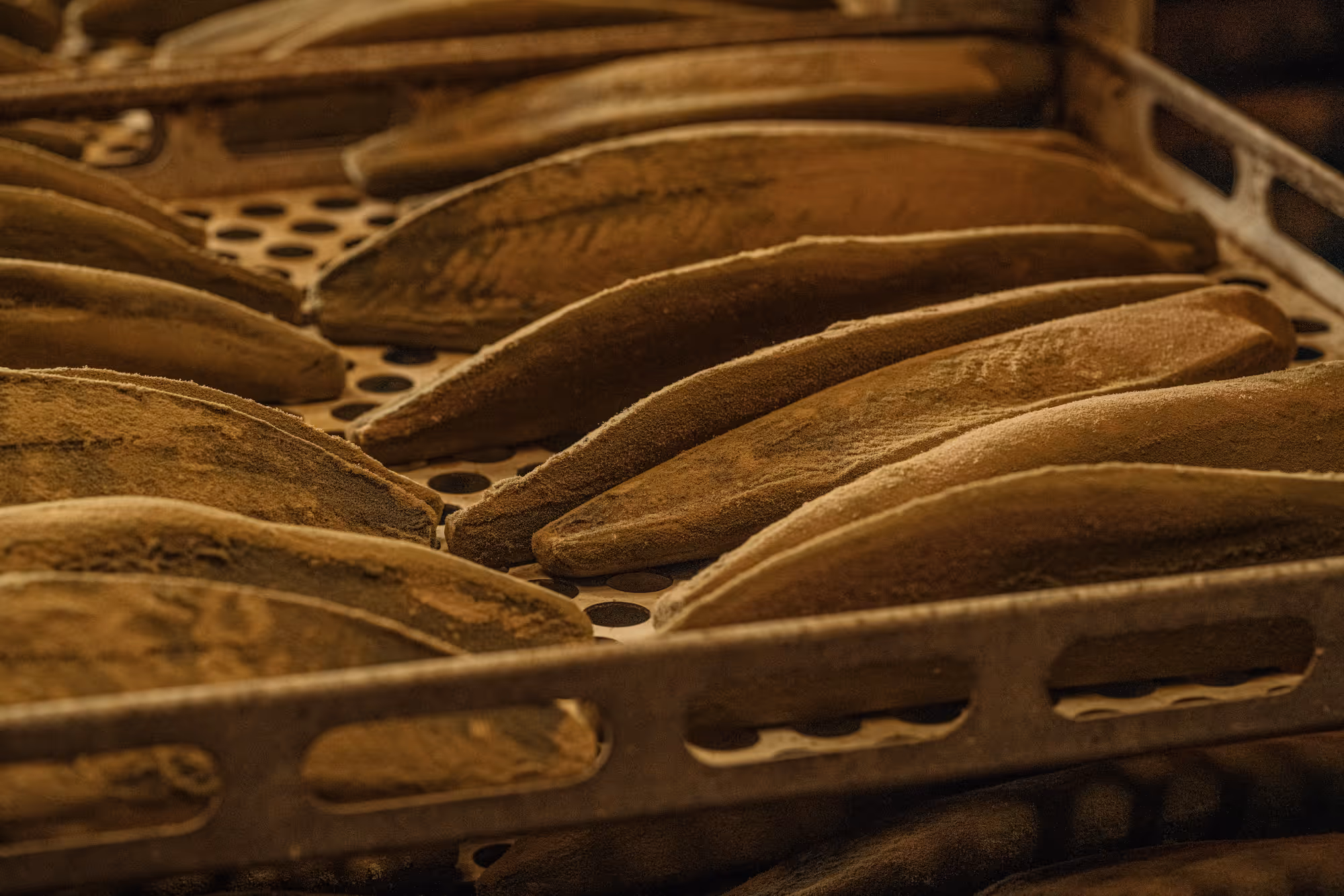 Close-up of dried brown banana slices arranged on a perforated tray in warm lighting.
