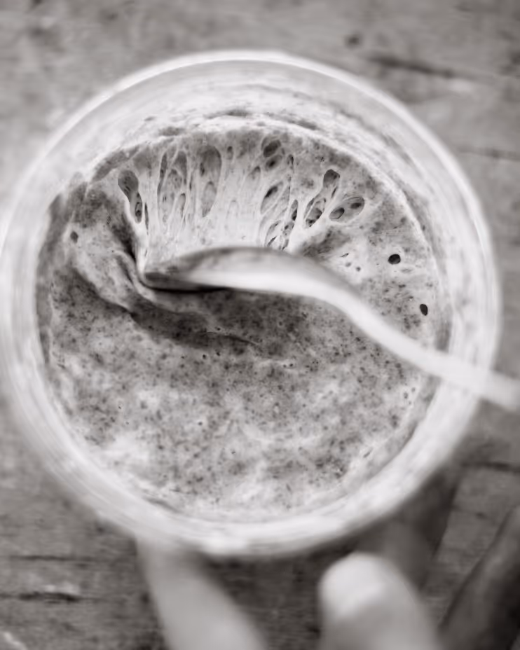 Close-up of a jar containing bubbly sourdough starter with a spoon inside.