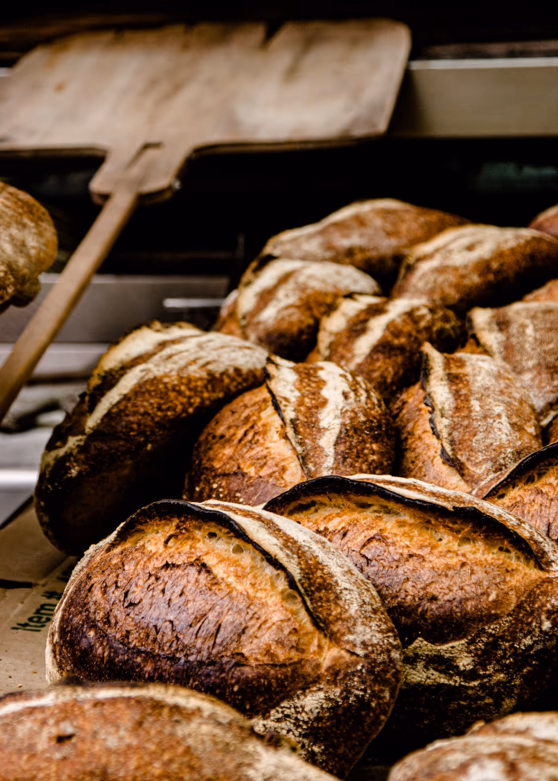 Close-up of several freshly baked rustic sourdough loaves with a wooden bread peel in the background.