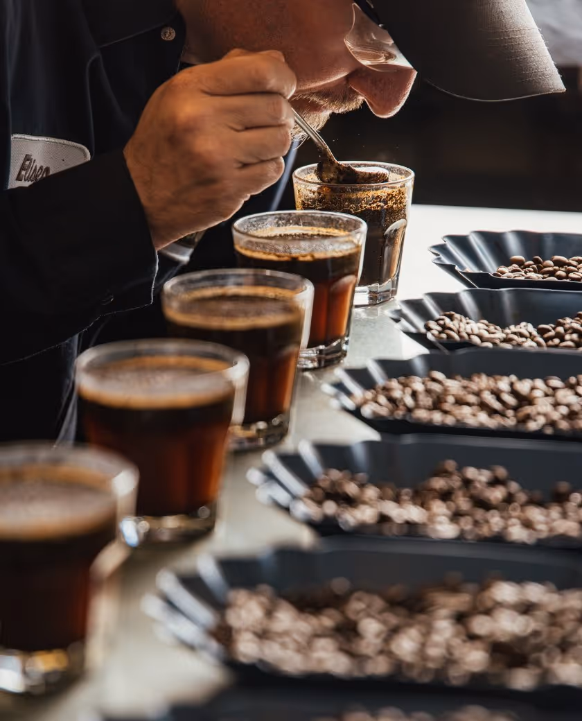 Person smelling coffee grounds from a spoon over a glass of brewed coffee with multiple coffee glasses and trays of coffee beans lined up on a table.